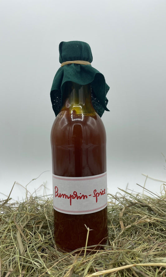Pumpkin-Spice-Sirup 0,25 l von Hof Stegerhoff