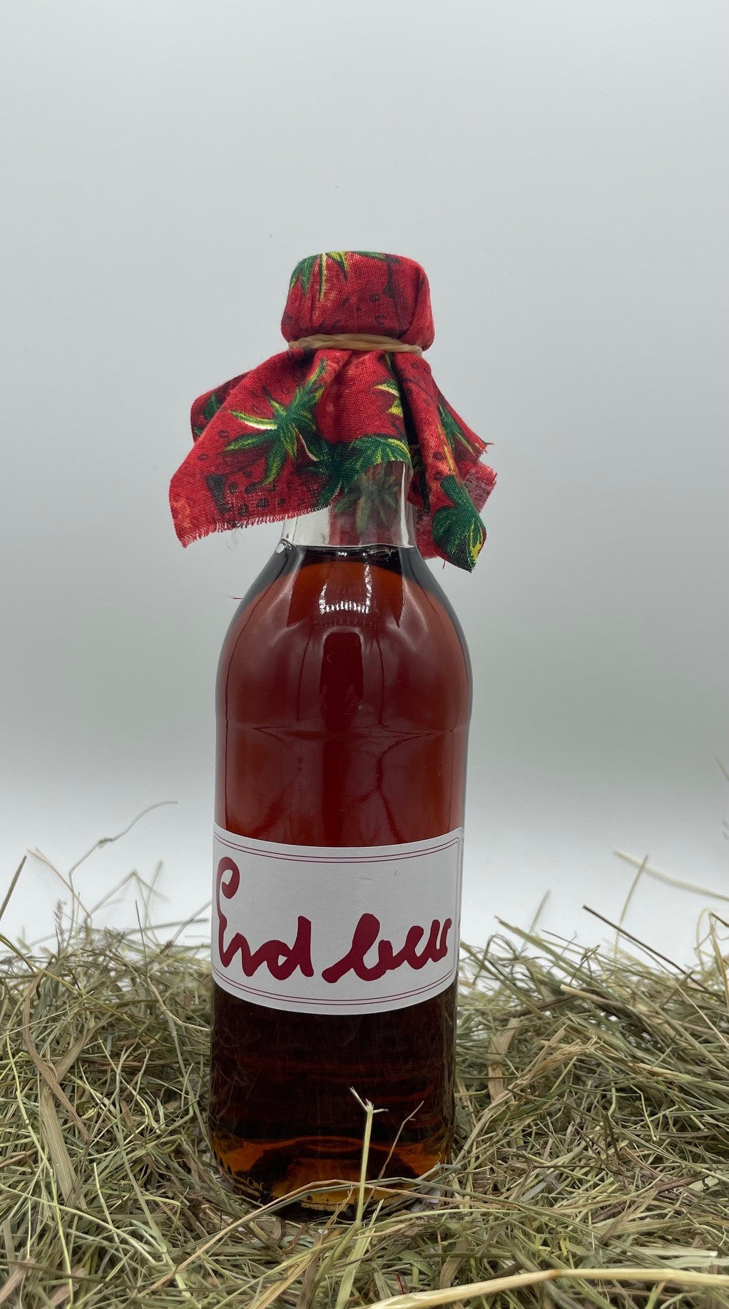 Erdbeer-Sirup 0,25 l von Hof Stegerhoff