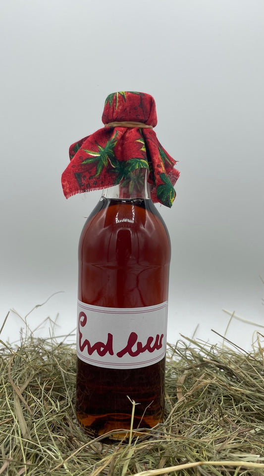 Erdbeer-Sirup 0,25 l von Hof Stegerhoff