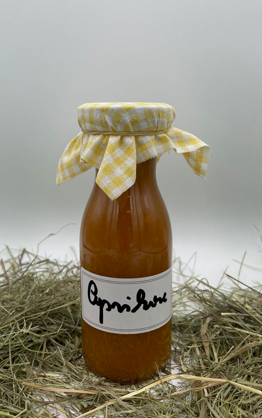 Aprikose-Sauce 0,25 l von Hof Stegerhoff